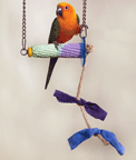 Corny Climber & Swing by Pollys Pet Products