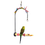 Avian Forage-N-Play Swing by Super Pets 3 sizes