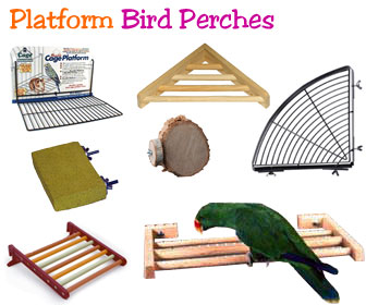 Bird Shelf – Platform Perches