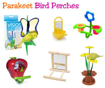 Parakeet Perches
