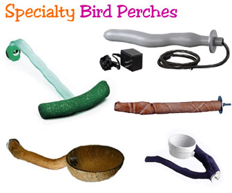 Heated Bird Perch - Unique Bird Perches