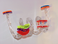 Acrylic Roller Coaster Bird Perches for Parrots by Bell Plastics