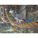 Large Manilal Rope Perches for Parrots by Natural Inspirations Parrot Cages