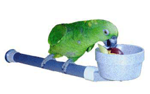 Mess Less Cup Perch for Parrots by Polly's Pet Products