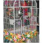 Cozy Parrot Debris Catcher - Fabric Bird Cage Skirt
