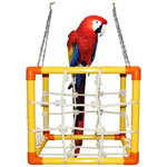 Cube Perch for Parrots - Zoo Max