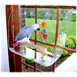 Window mounted Wingdow Seat for Birds by Wingdow LLC