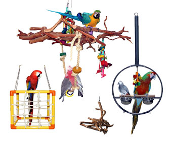Parrot Play Gyms