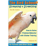 The Bird School Screaming Screeching by Ann Castro
