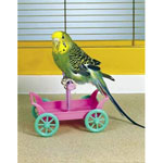 Rolling Wagon with Perch by Penn Plax