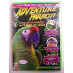 Feathered Phonics Adventure Parrot DVD Volume 1 by Pet Media Plus