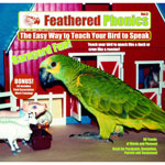 Feathered Phonics Barnyard Fun Vol 3 CD