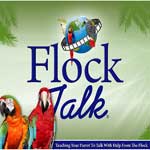Flock Talk by Bird Tricks