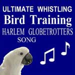 Harlem Globetrotter's Song Bird Whistling