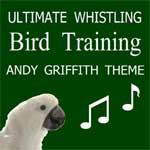 Andy Griffith Theme Bird Whistling