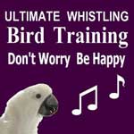 Don't Worry Be Happy Bird Whistling