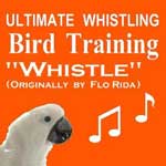 The Whistle by Flo Rida - Bird Whistling