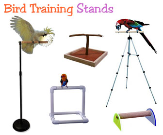 Parrot Training Stands