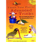 Feathered Phonics Teach Your Parrot Advanced Tricks DVD by Pet Media Plus
