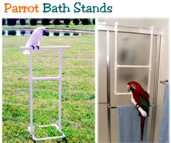 Parrot Bath Stands