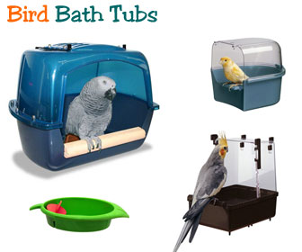 Parrot Bird Bath
