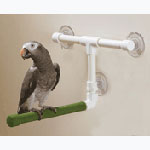 Parrot Shower Perch