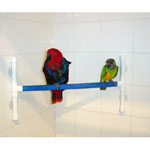 Parrot Bath Perch