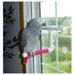 Parrot Window Perch for Birds