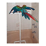 Macaw Shower Perch - PVC T Stand for Parrots