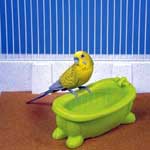 Fun Furniture Bird Bath Tub - Penn Plax BA548