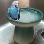 Stoneware Pedestal Small Birdbath for the Kitchen Sink