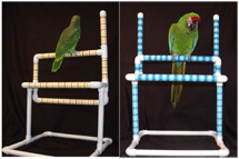 Table Top Parrot Stands & Gyms by Parrot Treasures