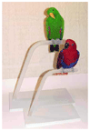 Frosted Acrylic Portable Travel Bird Stands - Perches by Bell Plastics