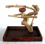 Small Java Table Top Bird Play Stand King's Cages