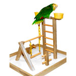 Acrobird 24" Playground Bird Perch PG24 by Caitec
