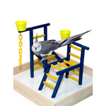 Acrobird Toddler 14" Playland Bird Perch by Caitec