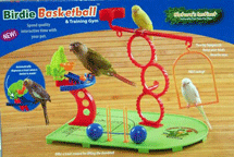 Birdie Basketball by Natures Instinct