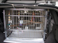 Medium Parrot Travel Bird Cages by Bennett Imps