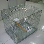 Sky Line Parrot Carry Cage