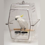 Wingabago Acrylic Carrier for Birds by Playful Parrot