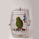Small Wingabago Carrier for Birds by Playful Parrot