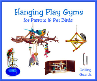 Hanging Bird Play Stand Gyms & Perches for Parrots