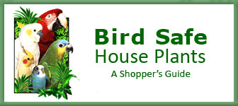 Bird Safe House Plants