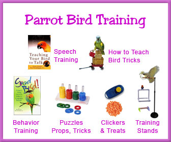 Parrot Behavior - Bird Tricks - Parrot Training