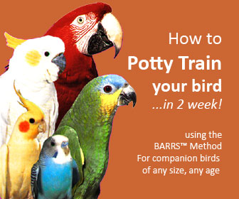 How to Potty Train a Bird