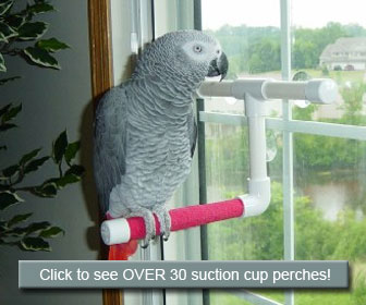 Suction Cup Bird Shower Perch