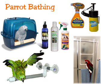 Bird Bath - Parrot Shower