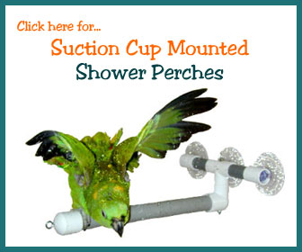 Parrot Shower Perch