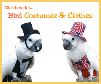 Bird Costumes