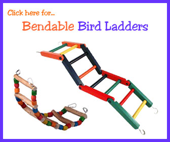 Bendable Parrot Ladder